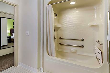 1 Queen Bed, Nonsmoking, Accessible