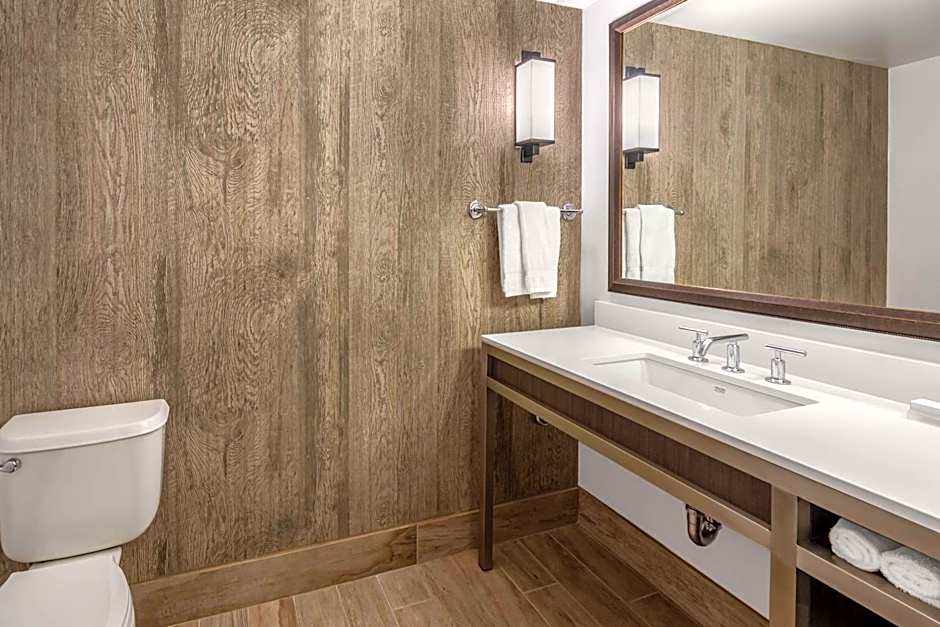 Hilton Garden Inn Scottsdale Old Town