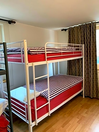Bed in 8-Bed Dormitory Room