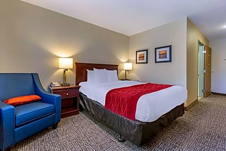 Queen Room - Accessible/Non-Smoking