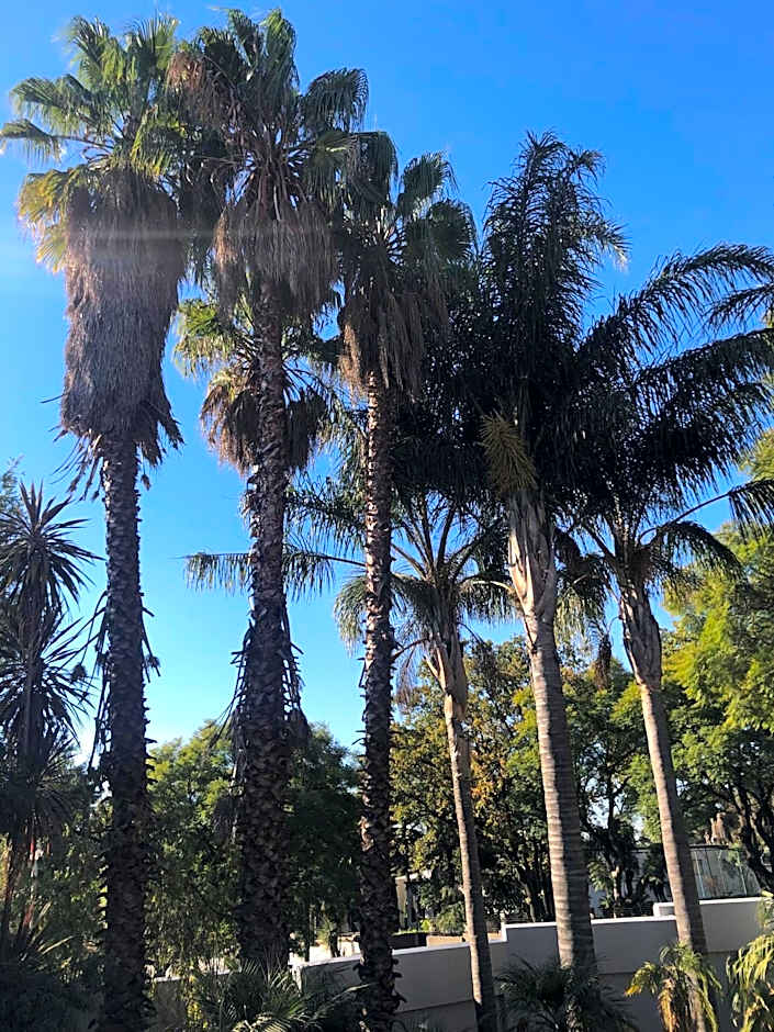 8 on Acacia Guesthouse