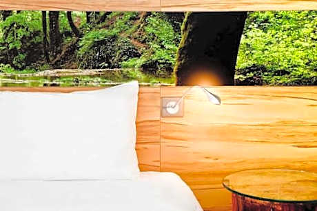 ibis Styles Sarrebourg