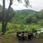 Mount Jefferson View