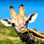 Morokolo Safari Lodge Self-catering
