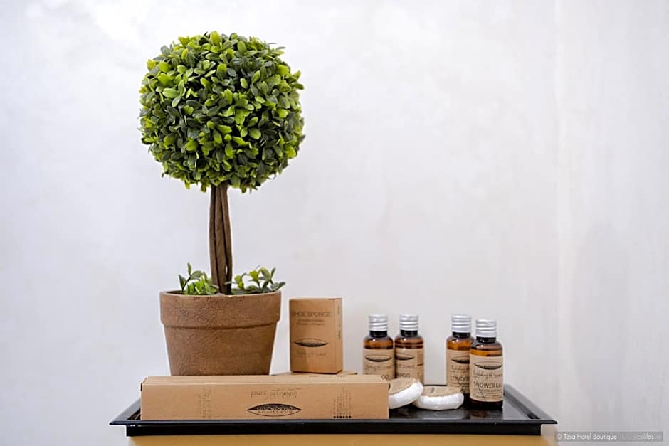 Tesa Boutique Hotel