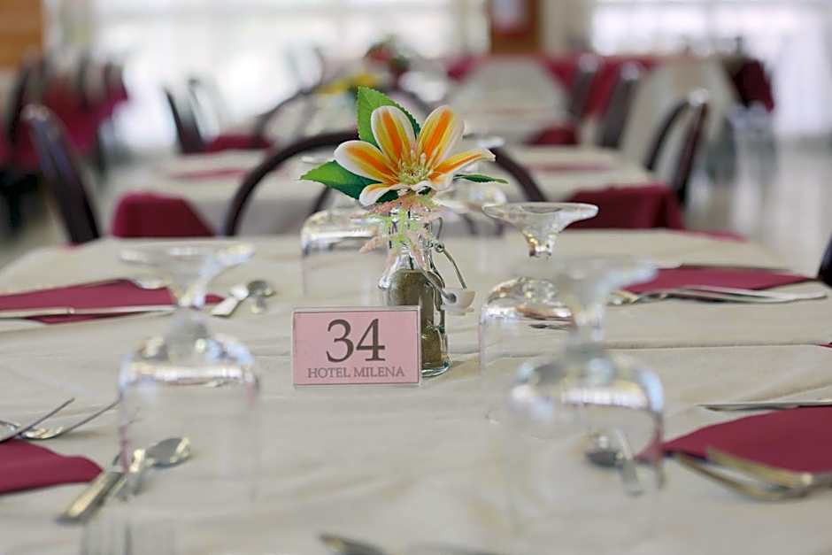 Hotel Milena