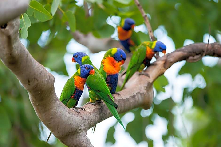 Thala Beach Nature Reserve