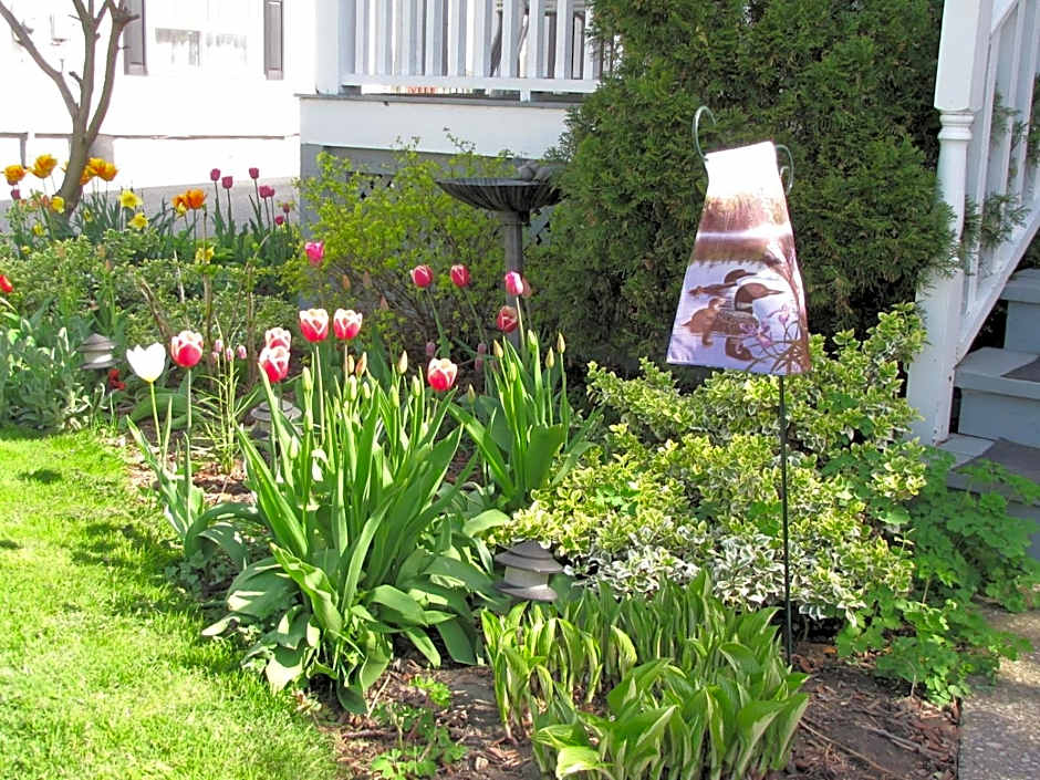 Strathaird Bed and Breakfast