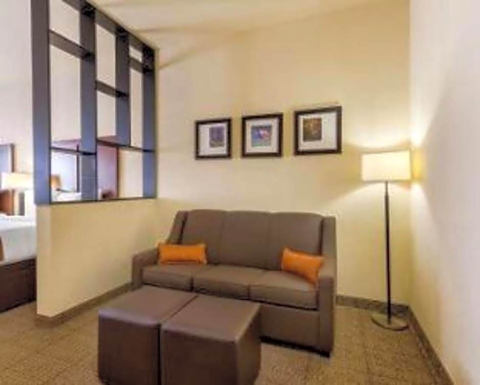 Comfort Suites Near Nasa - Clear Lake