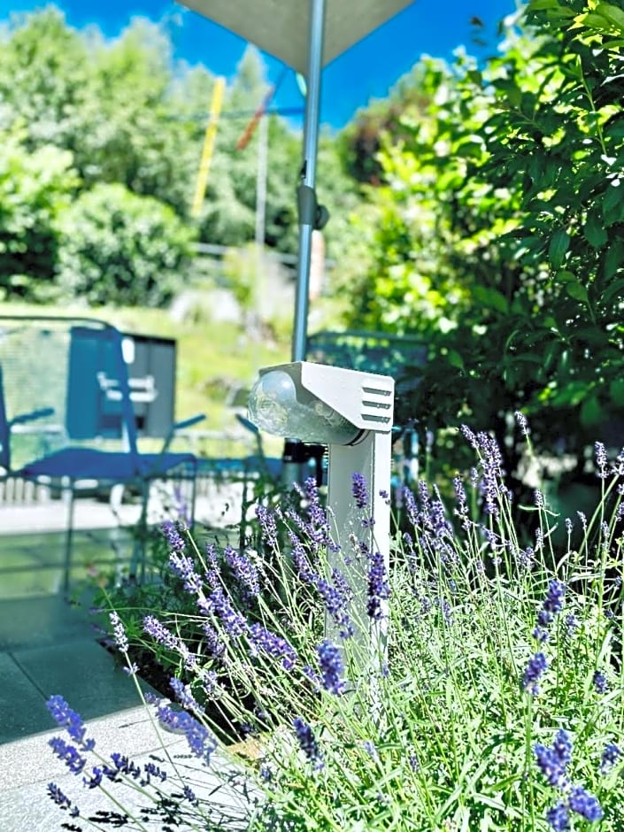 Bed Bike and Breakfast Olten