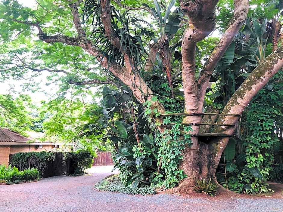 Ingwenya Lodge St Lucia