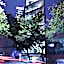 NIU Modern Apartments near WTC & Condesa - Roma Sur