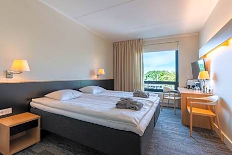 Superior Single Room