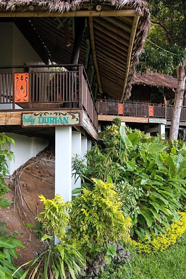 Damires Hills Tierra Verde