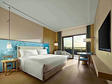 Deluxe King Suite