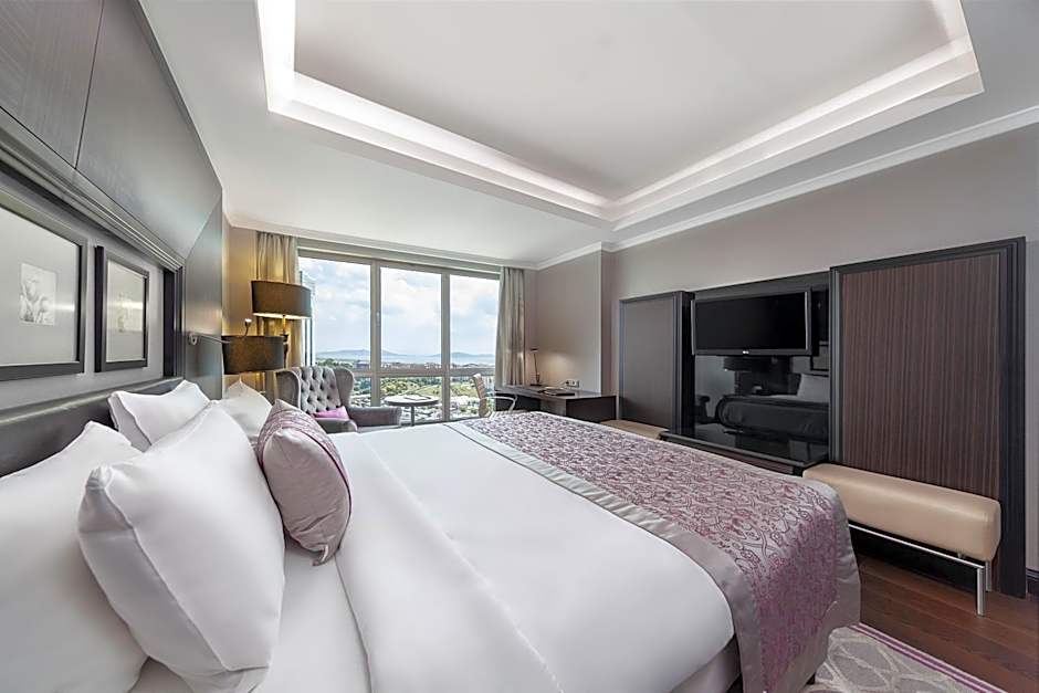 Dedeman Bostanci Istanbul Hotel & Convention Center