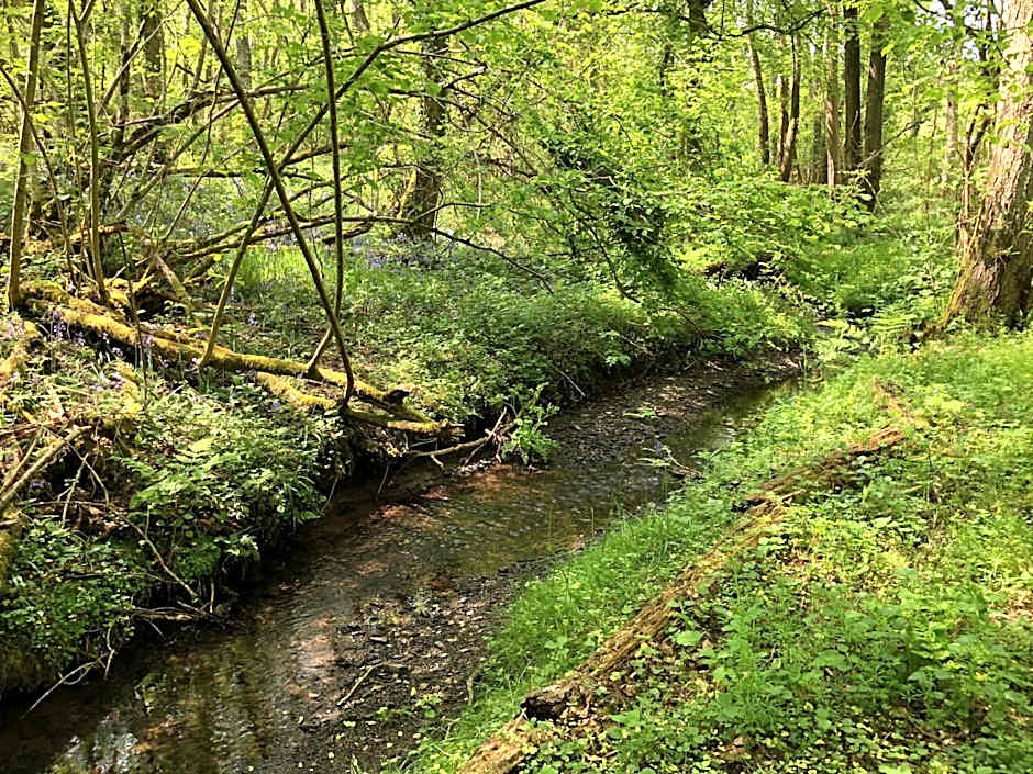 Coed y Marchog Woodland Retreat