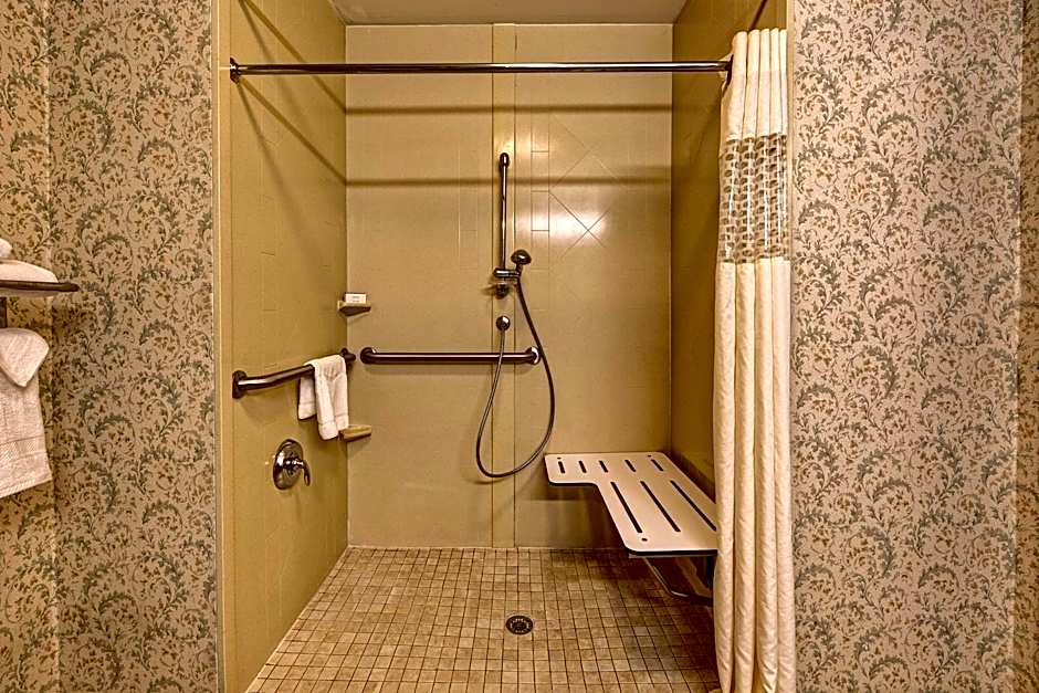 Hampton Inn By Hilton Manning, Sc