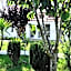 Pincheiro Apartamentos Turísticos