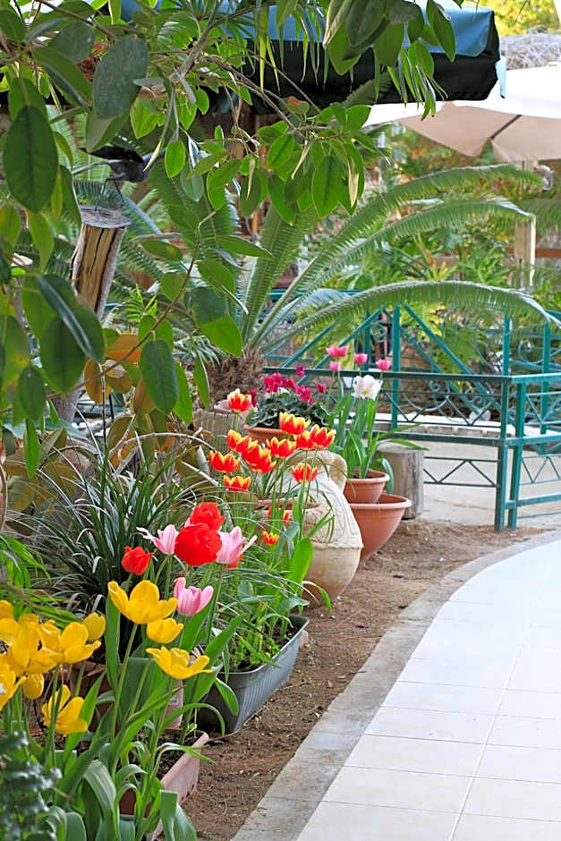 Idan Lodge in the Arava
