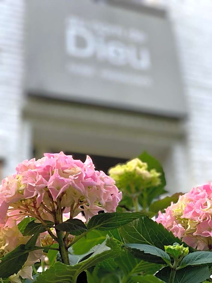 Hotel Au Nom De Dieu