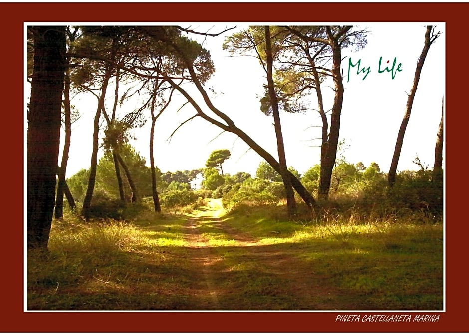 MyLife B&B Country House