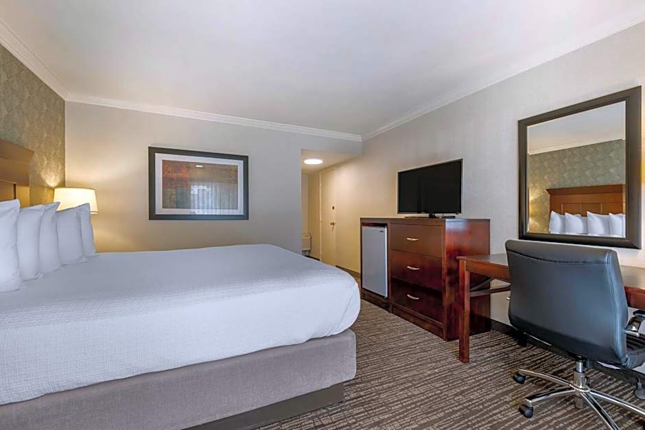 Best Western Plus Carriage Inn