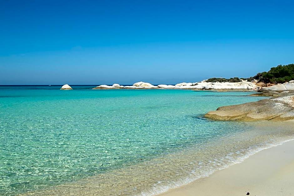 VSP RENT ROOMS FUeGO