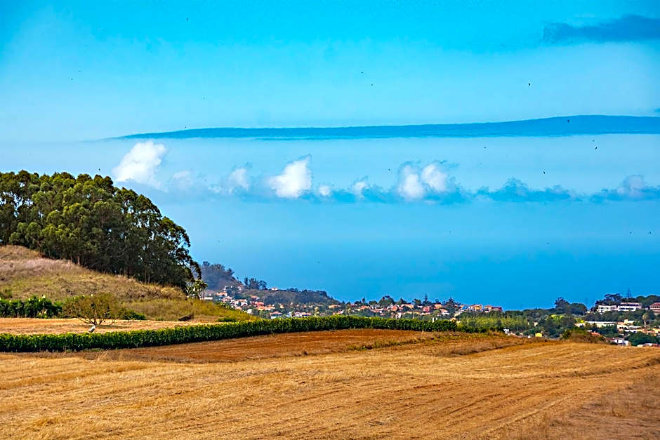 Finca Rural La Casa Verde