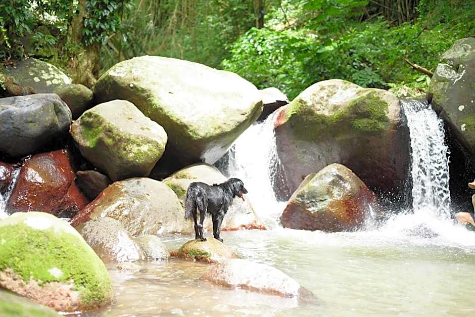 Martinique Treehouse