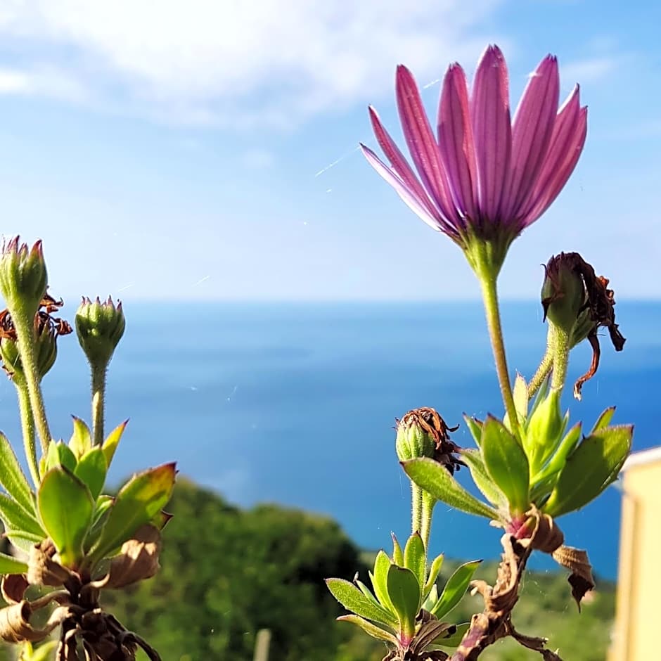 Ostello ninin de ma'