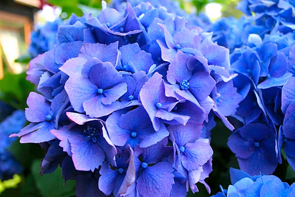 Hotel & Spa Cacciatori