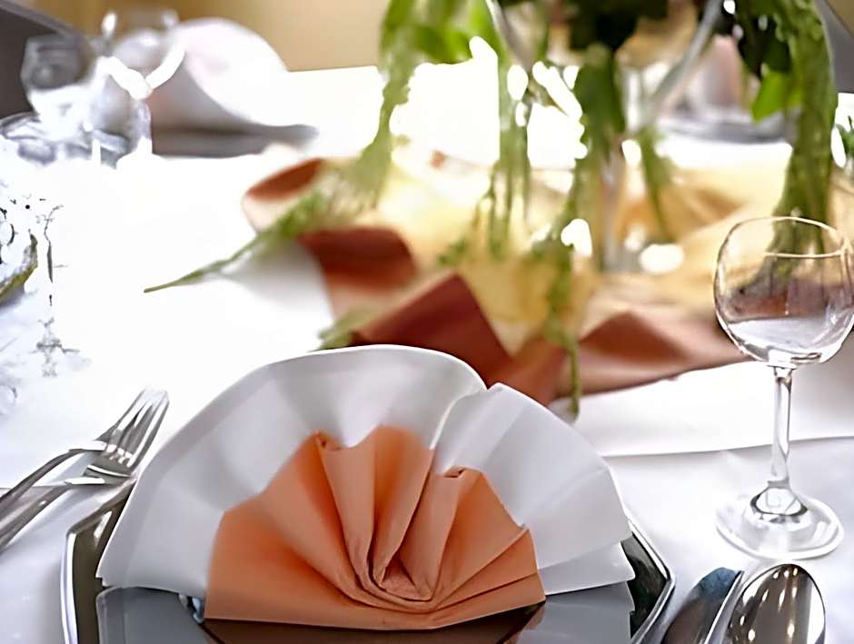Adler Hotel & Restaurant Groß-Gerau