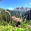 Fedaia Joy B&B