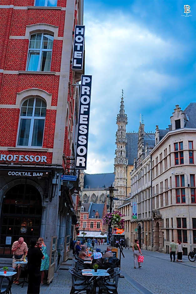 Hotel Professor Leuven Centrum