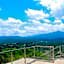 View 360
