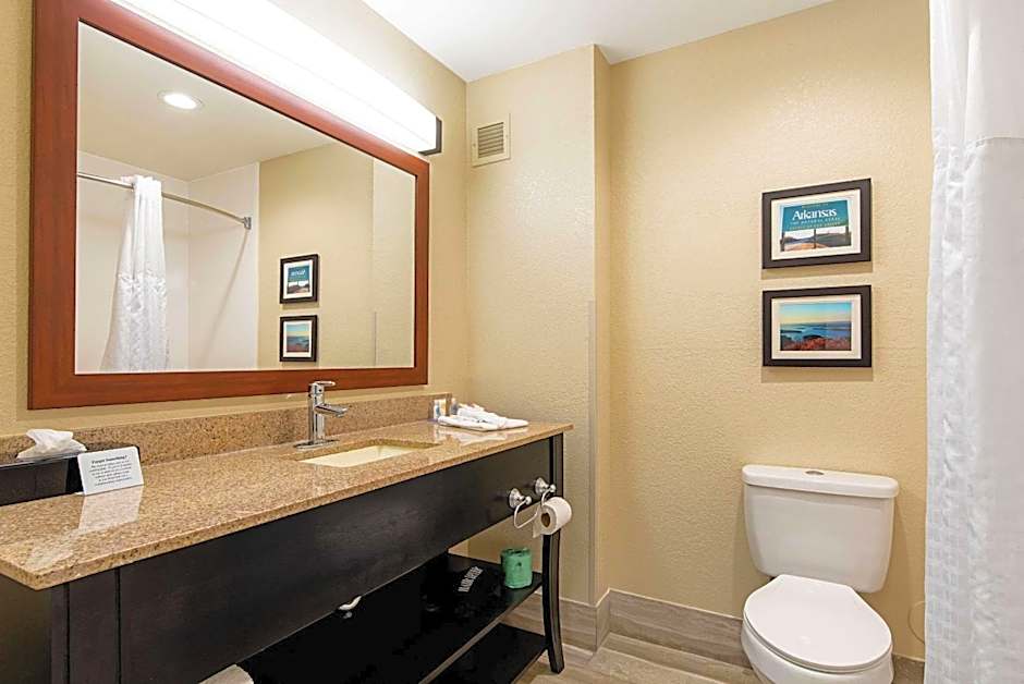 Comfort Inn & Suites Pine Bluff