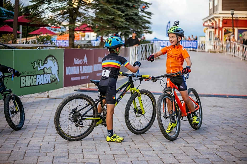 Allegheny Spring 239 KING, bed/Ski-In, Out/Pool & Hot Tub