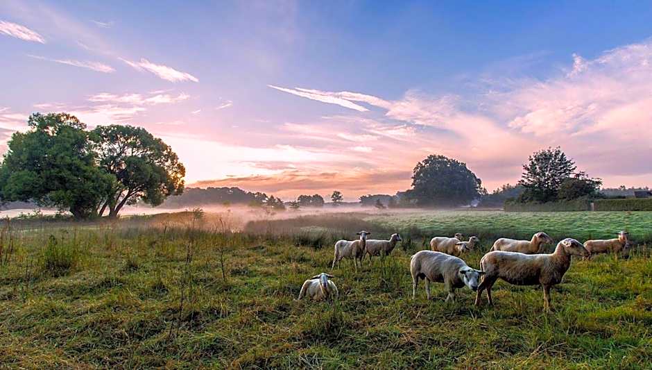 Hotel-Appartementen Klaver Vier