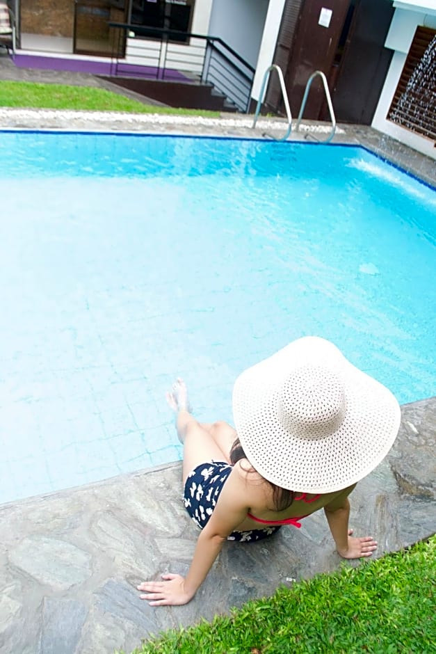 Purple Tree Bed and Breakfast