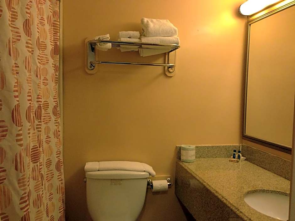 Village Inn