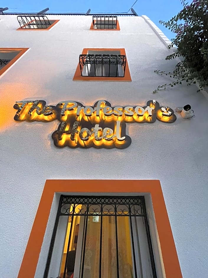 The Professor's Hotel