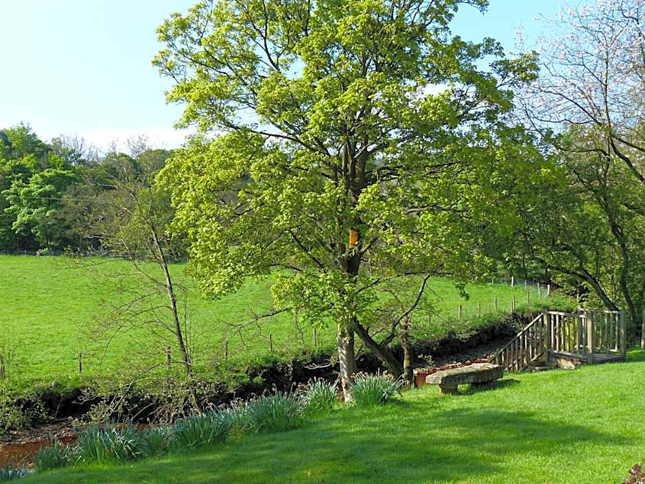 Millbrook