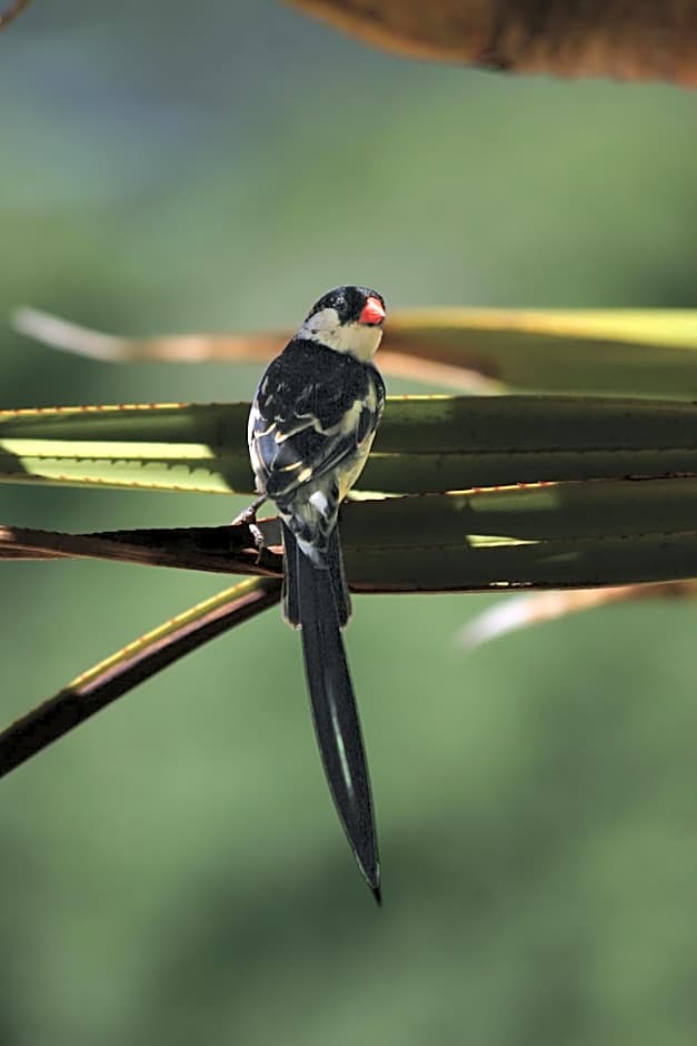 Serendipity Country House & Restaurant