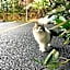 Niruyakanaya BISE - Vacation STAY 36704v