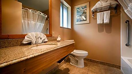 King Room - Pet-Friendly