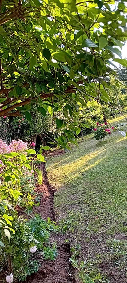 La Cjase di Pieri e Vilme