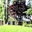 Shades of Arrowtown