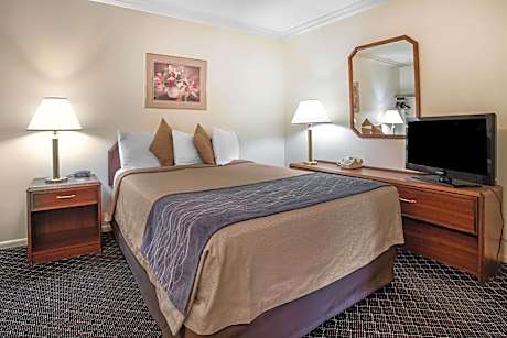 Double Suite with Two Double Beds
