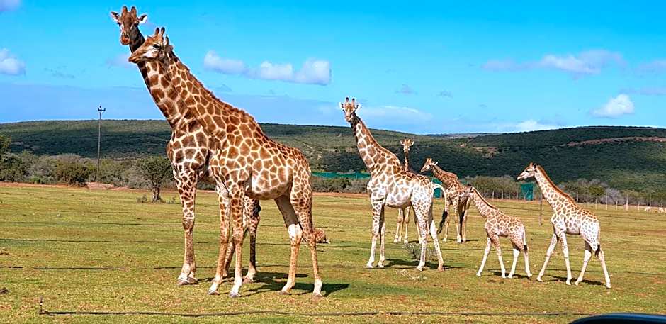 Valley Bushveld Country Lodge